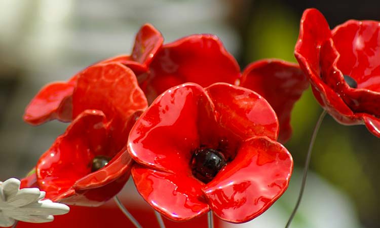STAFFORDSHIRE welcomes the poppies to Middleport Pottery